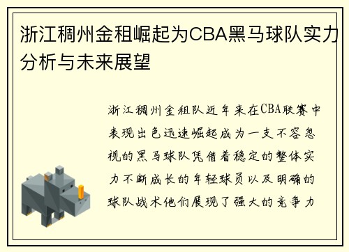 浙江稠州金租崛起为CBA黑马球队实力分析与未来展望